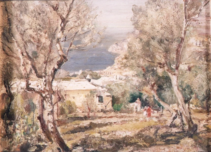  43-paesaggio -Palazzo san Giacomo 